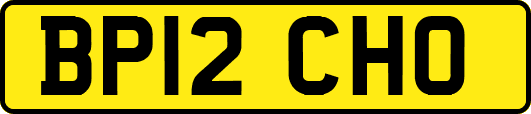 BP12CHO