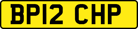 BP12CHP