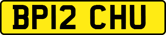 BP12CHU
