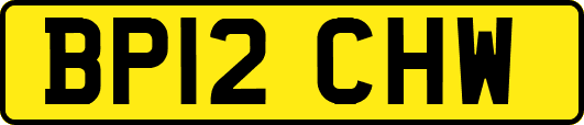 BP12CHW