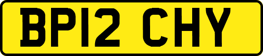 BP12CHY