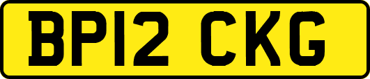 BP12CKG
