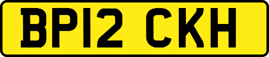 BP12CKH