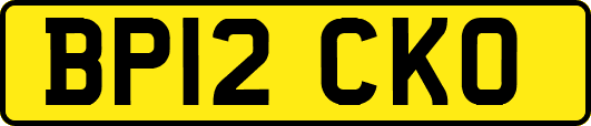 BP12CKO