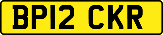 BP12CKR