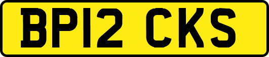 BP12CKS