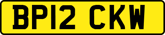 BP12CKW