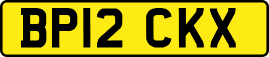 BP12CKX