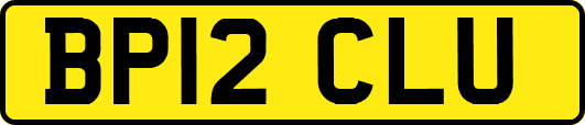 BP12CLU