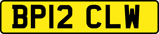 BP12CLW