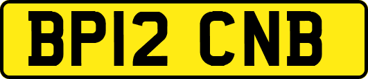 BP12CNB