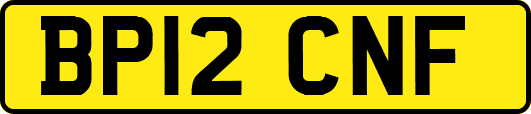 BP12CNF