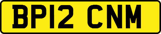 BP12CNM