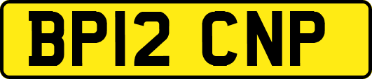 BP12CNP