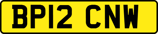 BP12CNW