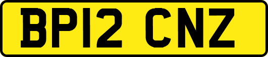 BP12CNZ