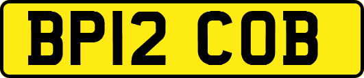 BP12COB