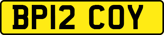 BP12COY
