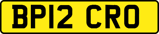 BP12CRO
