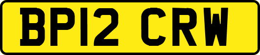 BP12CRW