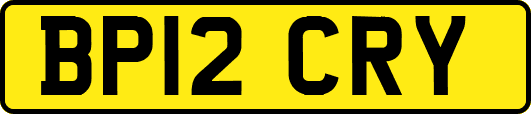 BP12CRY