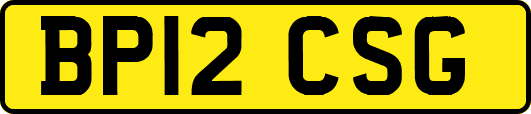 BP12CSG
