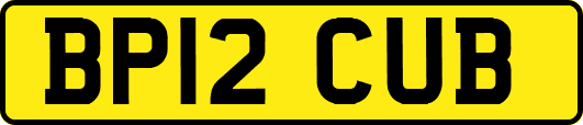 BP12CUB