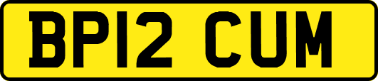 BP12CUM