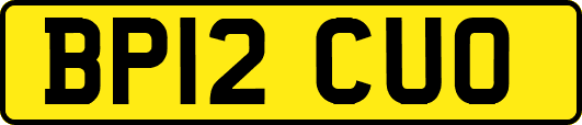 BP12CUO