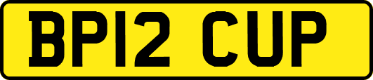 BP12CUP