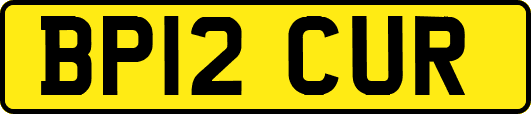 BP12CUR
