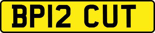 BP12CUT