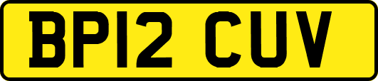 BP12CUV