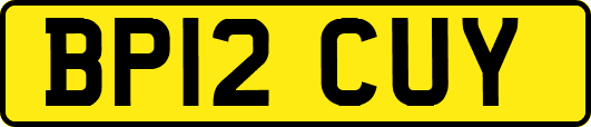 BP12CUY