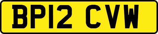 BP12CVW