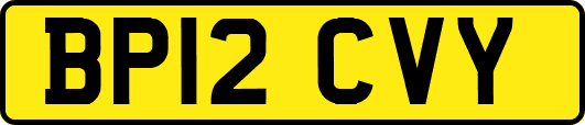 BP12CVY