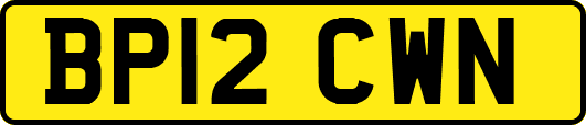 BP12CWN
