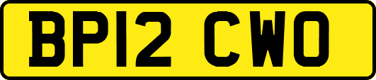 BP12CWO