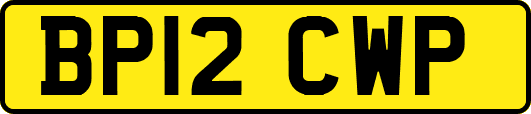 BP12CWP