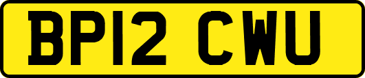 BP12CWU