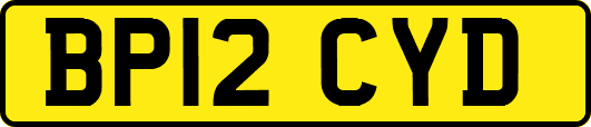 BP12CYD