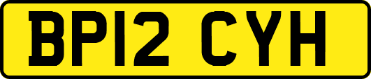 BP12CYH