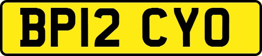 BP12CYO