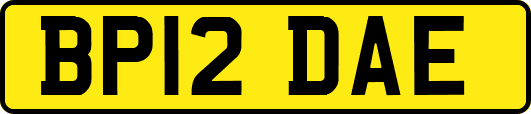 BP12DAE