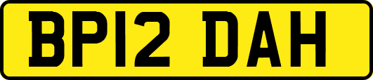 BP12DAH