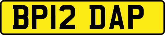 BP12DAP