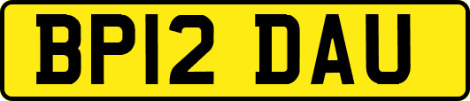 BP12DAU