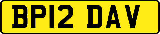 BP12DAV