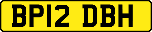 BP12DBH