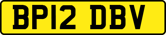 BP12DBV